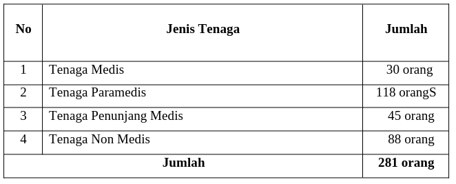 Formasi Ketenagaan